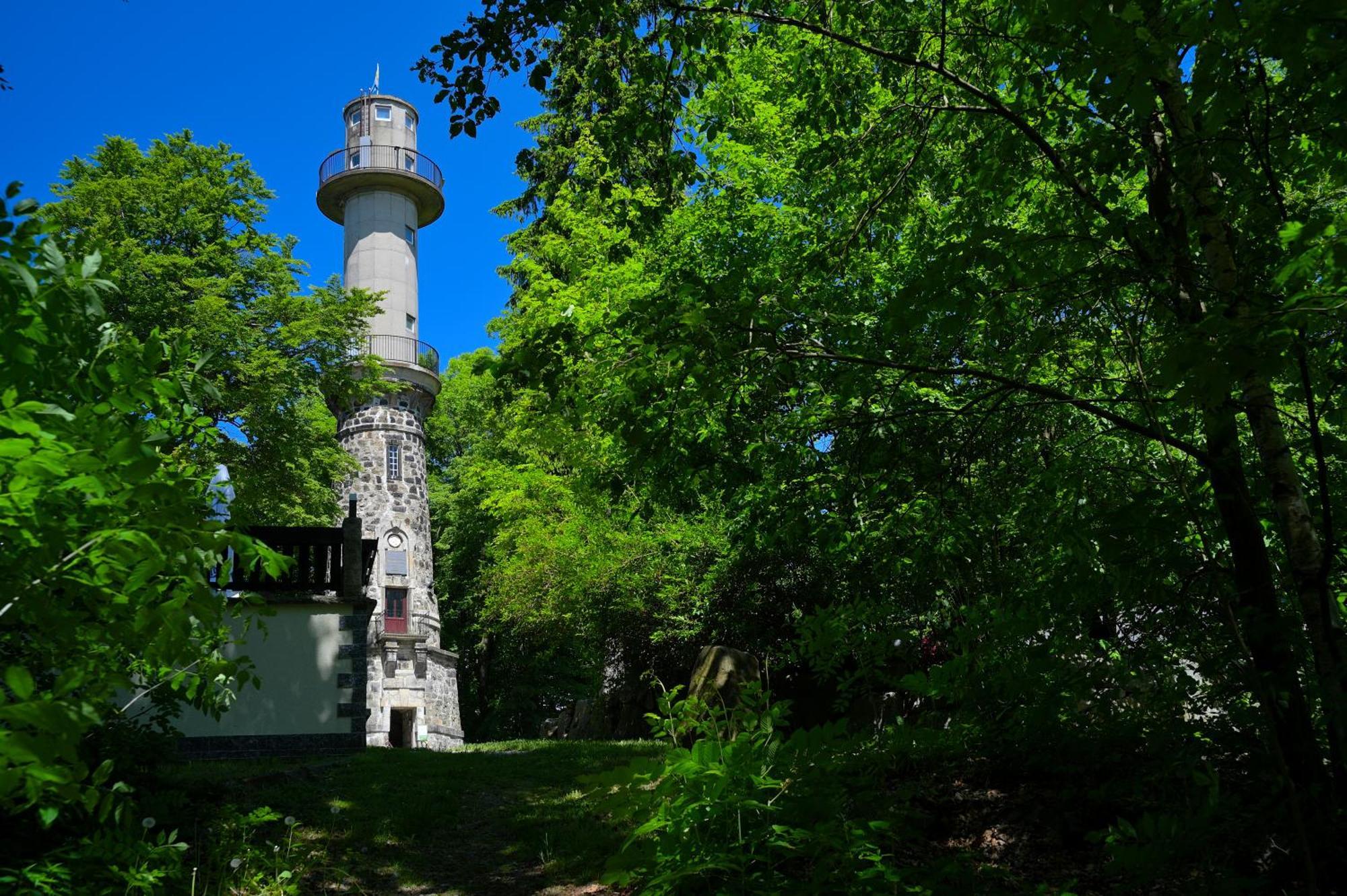 Gasthof Ungerberg Neustadt i Sachsen Eksteriør bilde